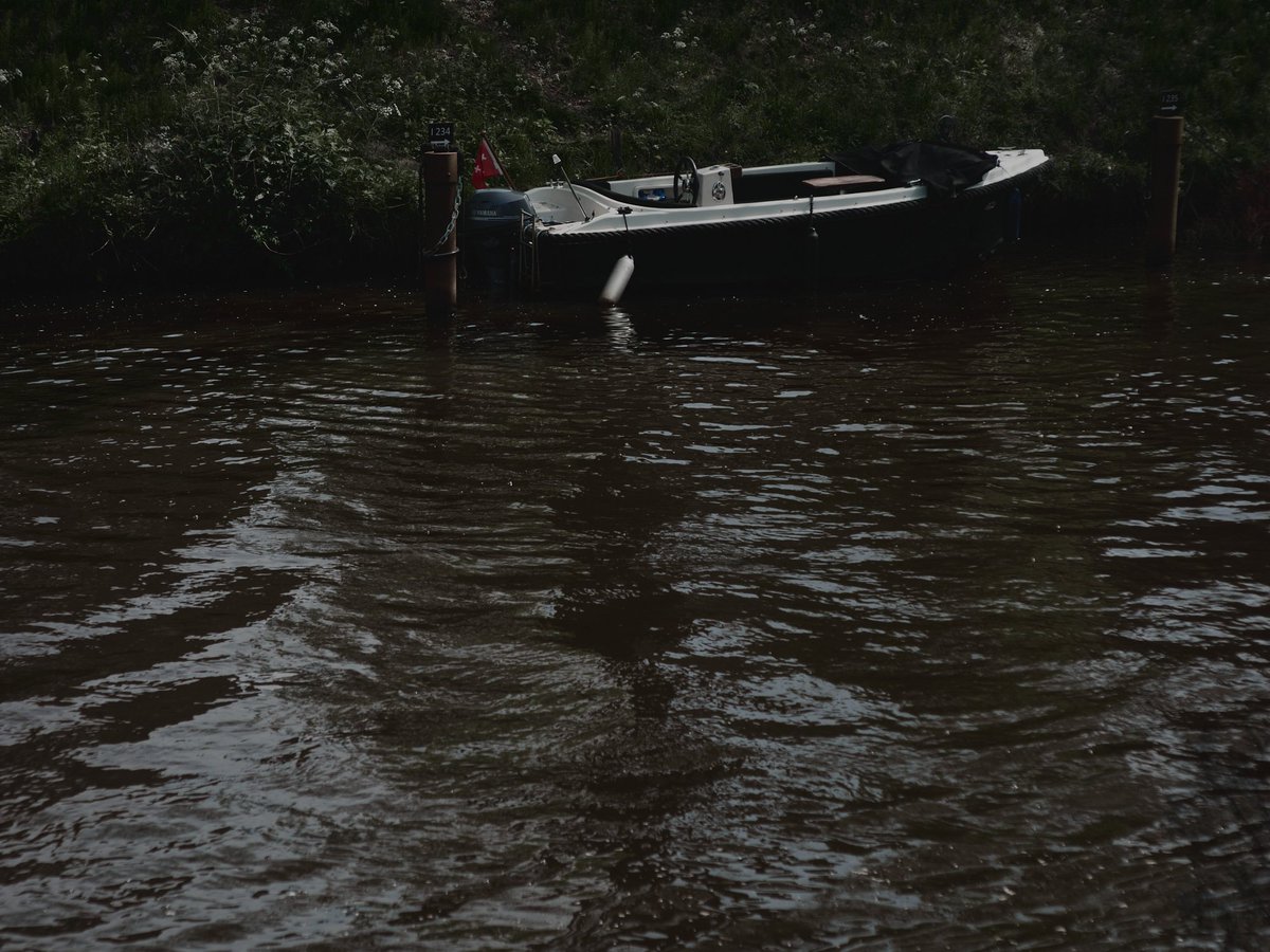 My top 4 taken this year.