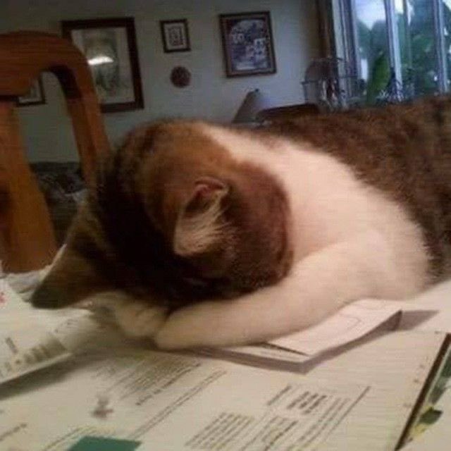 ,٫، (@_iilvel) on Twitter photo 