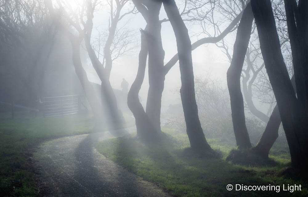 Disc_light's tweet image. One from this morning and the big camera. The mist rolled in and the sun just broke through catching the mist quite nicely. Got lucky with a walker and I just waited for the right moment to hit the shutter button and capture this. Hope you've had a good day today!