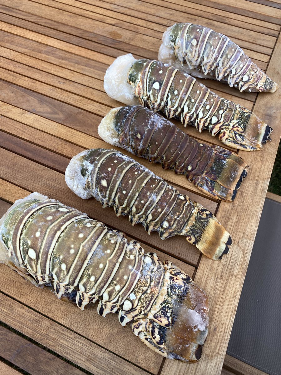 VinoParaiso's tweet photo. Hoy cocinamos en Casa Parsíso! Hoy langosta caribeña! https://t.co/ikhtD8Oupl