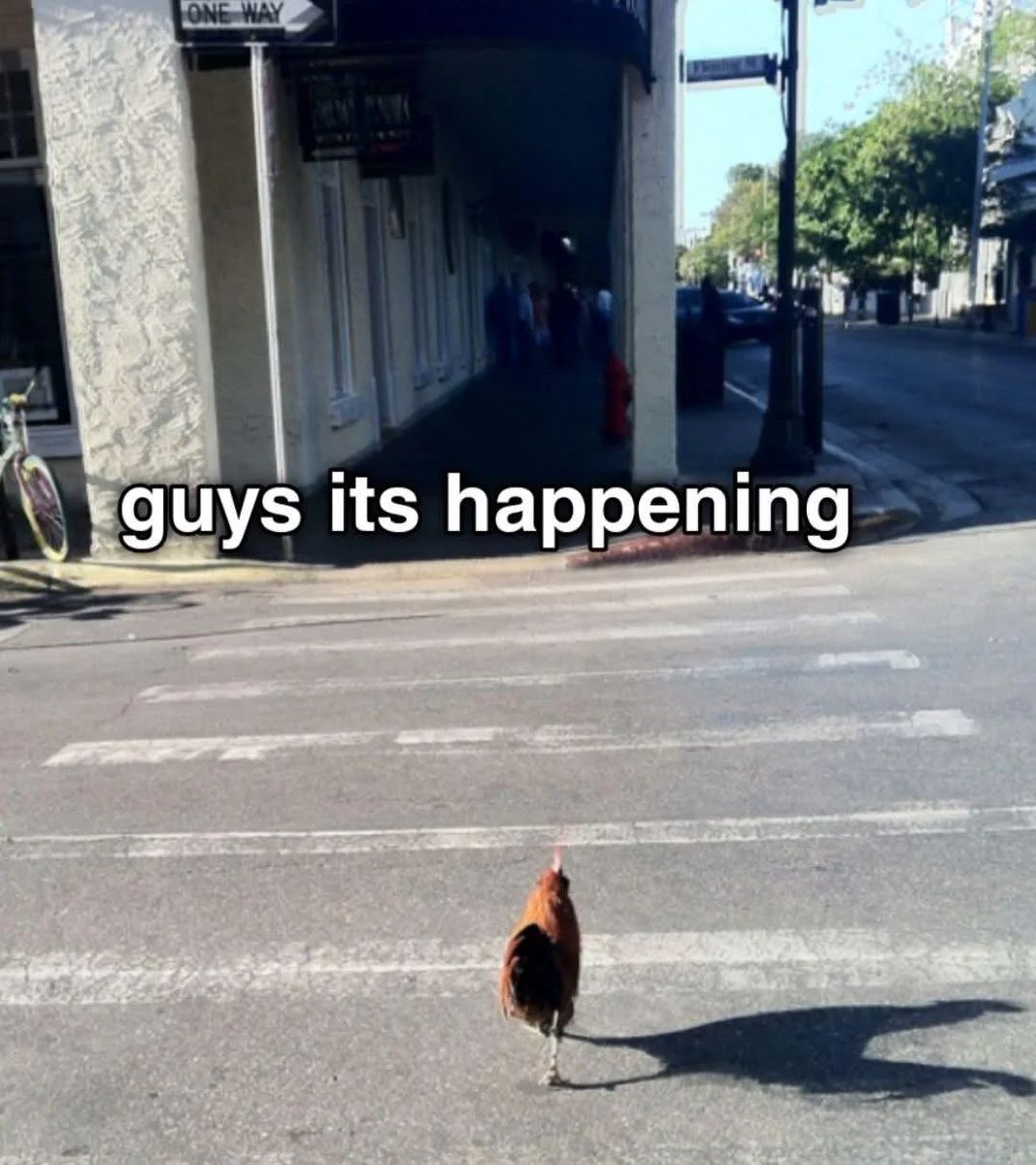 hourly_shitpost's tweet photo. https://t.co/G2BKwHDoVv