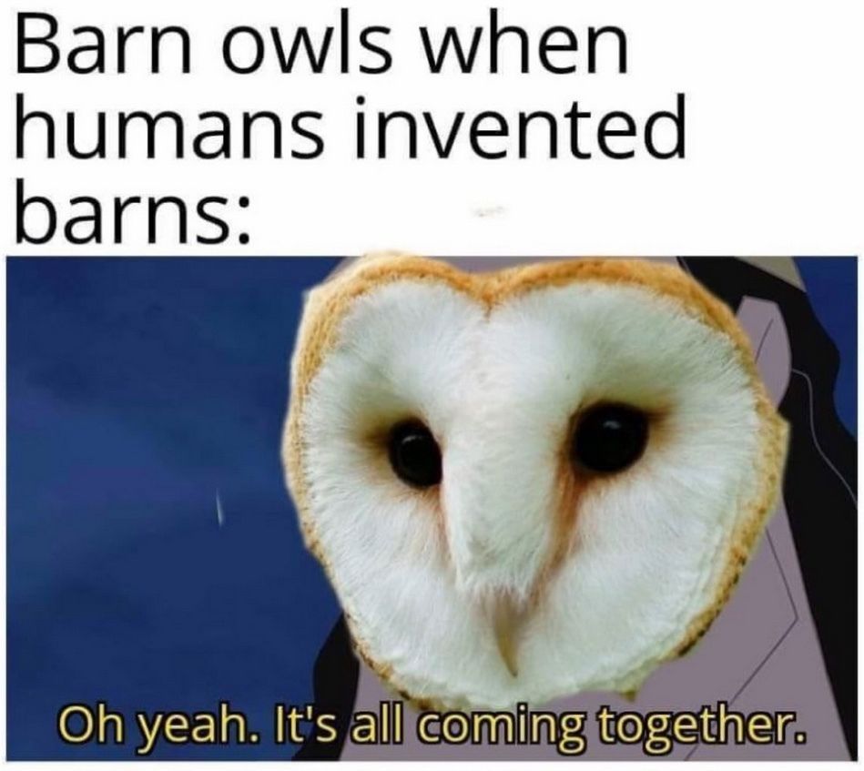 AKIRA THE DON tweet media