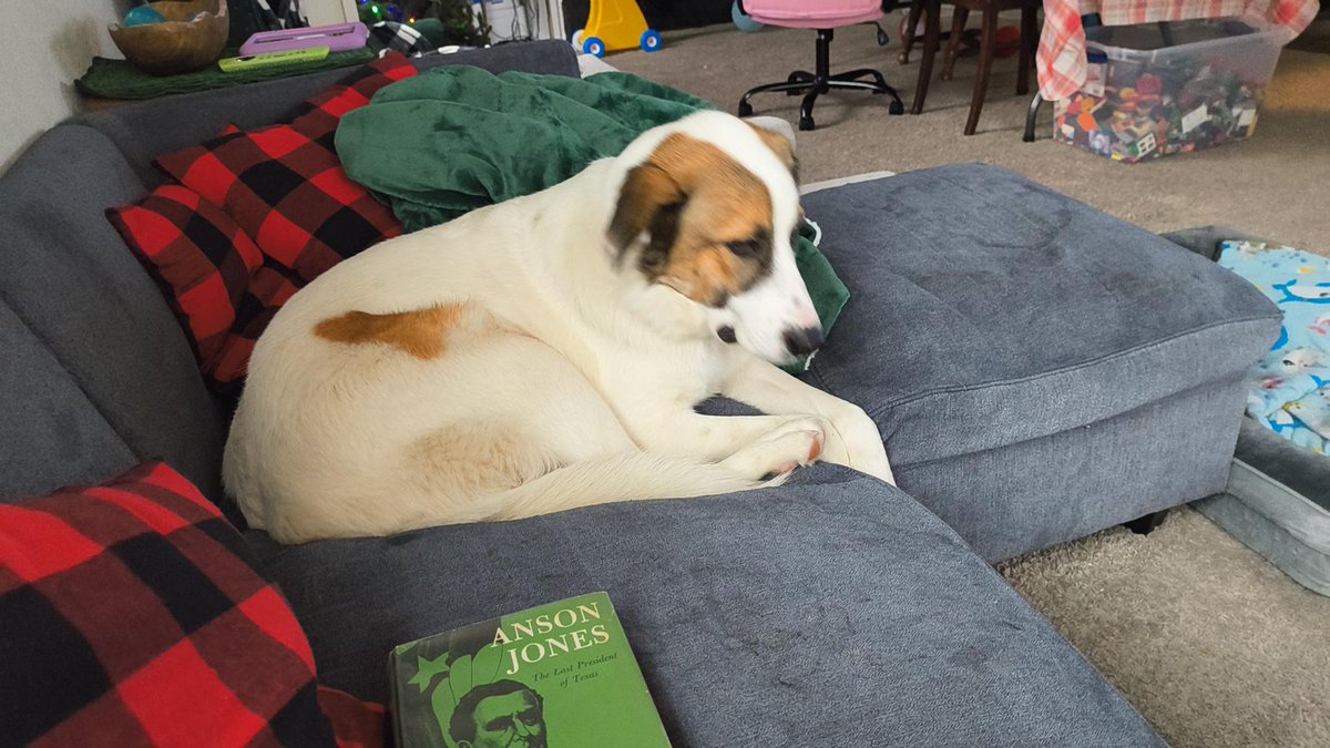 Mr. Based Man tweet media