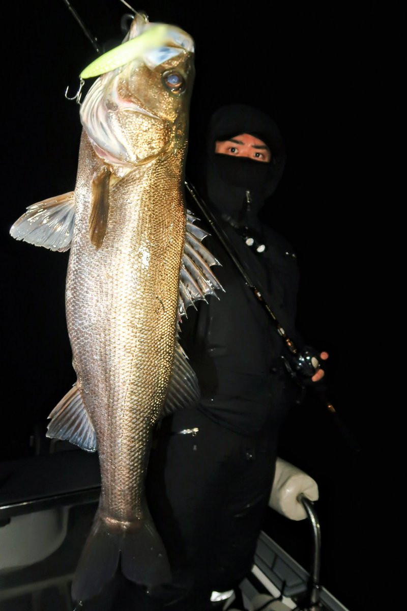 ☆BLACKFRIDAY第２弾セール中！早い者勝ち！和竿　⑦ ZK ザクザク20種 ※数量限定品 | 台紙タイプ | eはなびやさん│圧倒的な