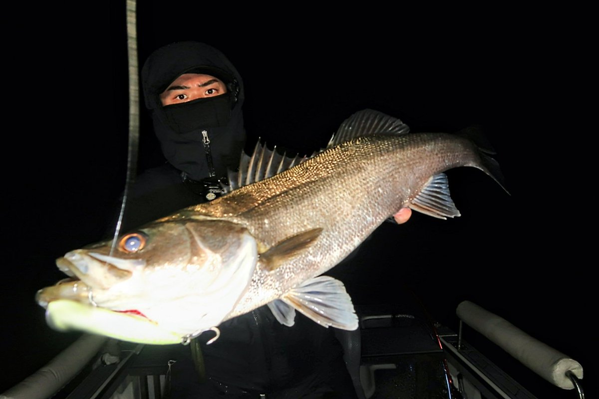 GONZO＠（hayaken) (@GONZOUDAIWA) / Posts / X