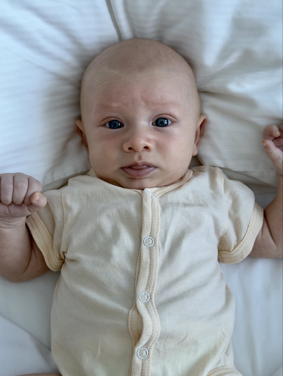 саша олямри tweet media