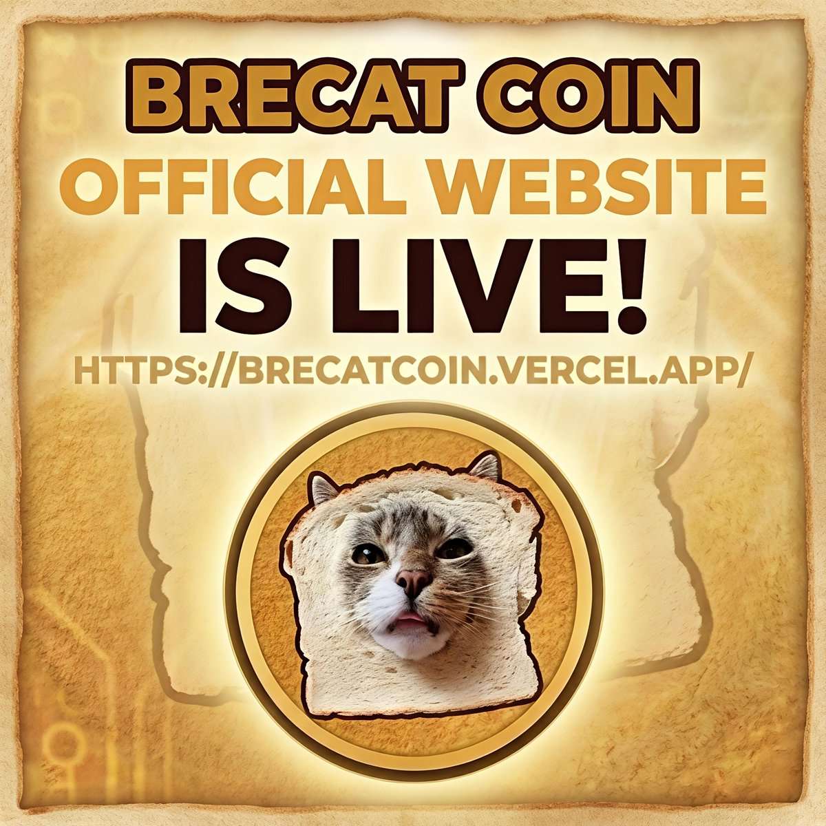 Rektum_Sol11's tweet photo. @cryptogems555 $BREADCAT is fresh out the oven.🍞
Meme power + real momentum = next SOL banger.  

Join the rise, don’t miss the bake 🔥  
TG:https://t.co/ZdtCBUyub3  
X: https://t.co/qMRpuUJKOh  
Web: https://t.co/D03Q5a9PtF  

#BREADCAT #MemeCoin #Solana #Brecat https://t.co/xlphgo4wgJ