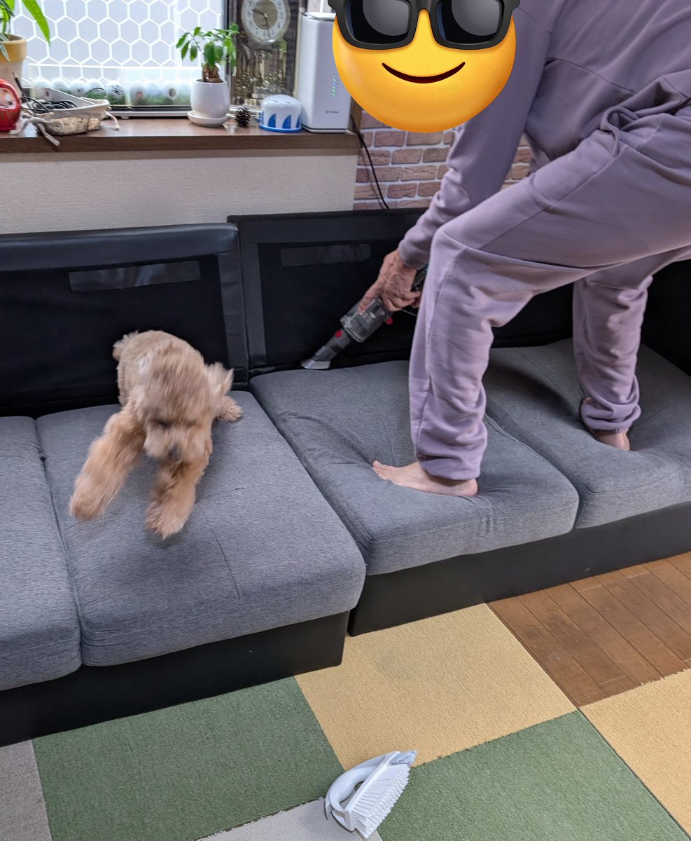 ゆずたん⭐︎ Z/X -Zillions of enemy X- スタートダッシュデッキ 第7弾