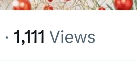 Blue_Eyes's tweet image. You can send Tina Peters a Christmas card/letter. She could really use encouragement right now.
When 1111 shows up... Definitely give it attention. 🙏🙏🙏 God Bless Tina Peters. 🙏♥️✝️