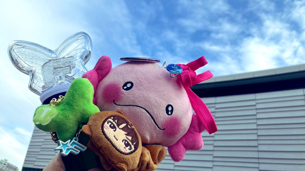 うめちゃん (@22S10s) / Posts / X