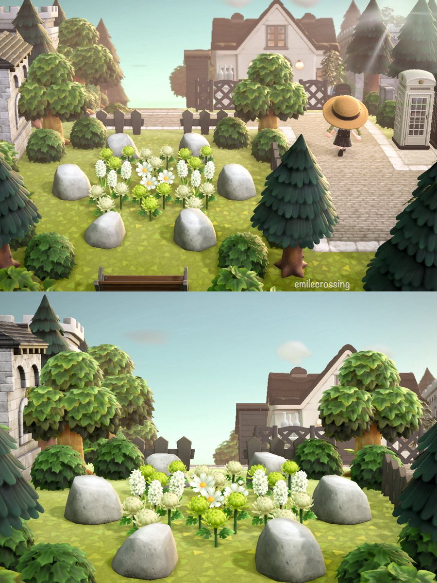 Émile🪴 tweet media