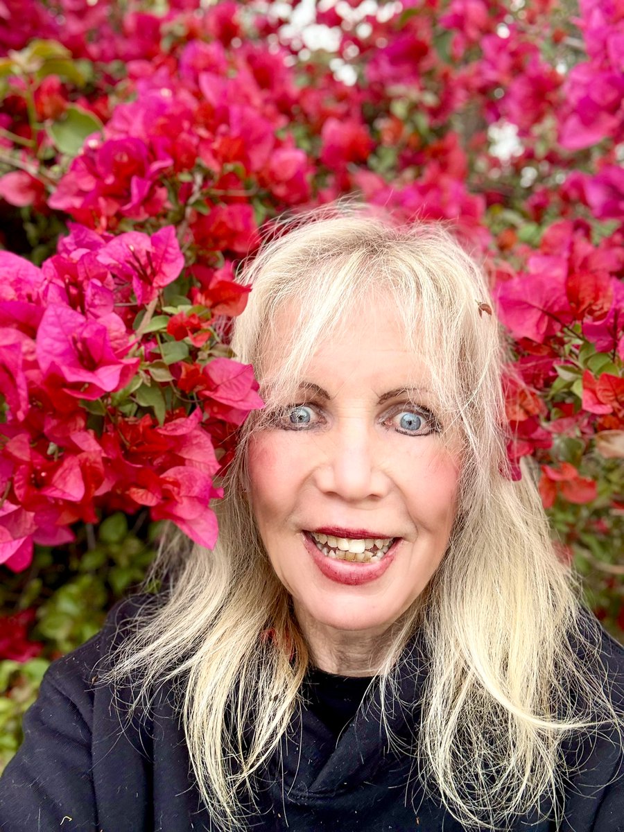 Michsteer's tweet photo. Happy Saturday my friends!
May the spirit of Christmas fill your heart with joy!
I felt that joy today on my 7.7 miles, beautiful flowers and very sparkly 63f swim 🧜♀️!
#runningpunks #SaturdayVibes #running https://t.co/n32hm394l1