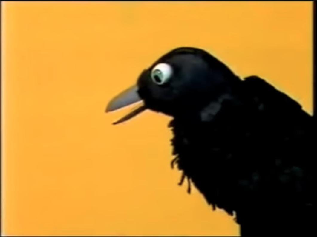 conet's tweet image. 