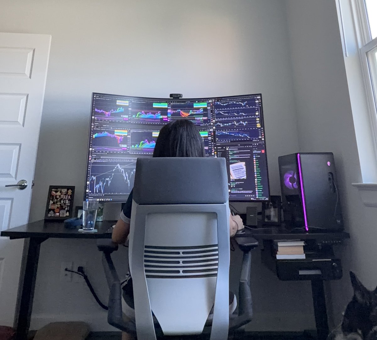 Rose 🌹 tweet media