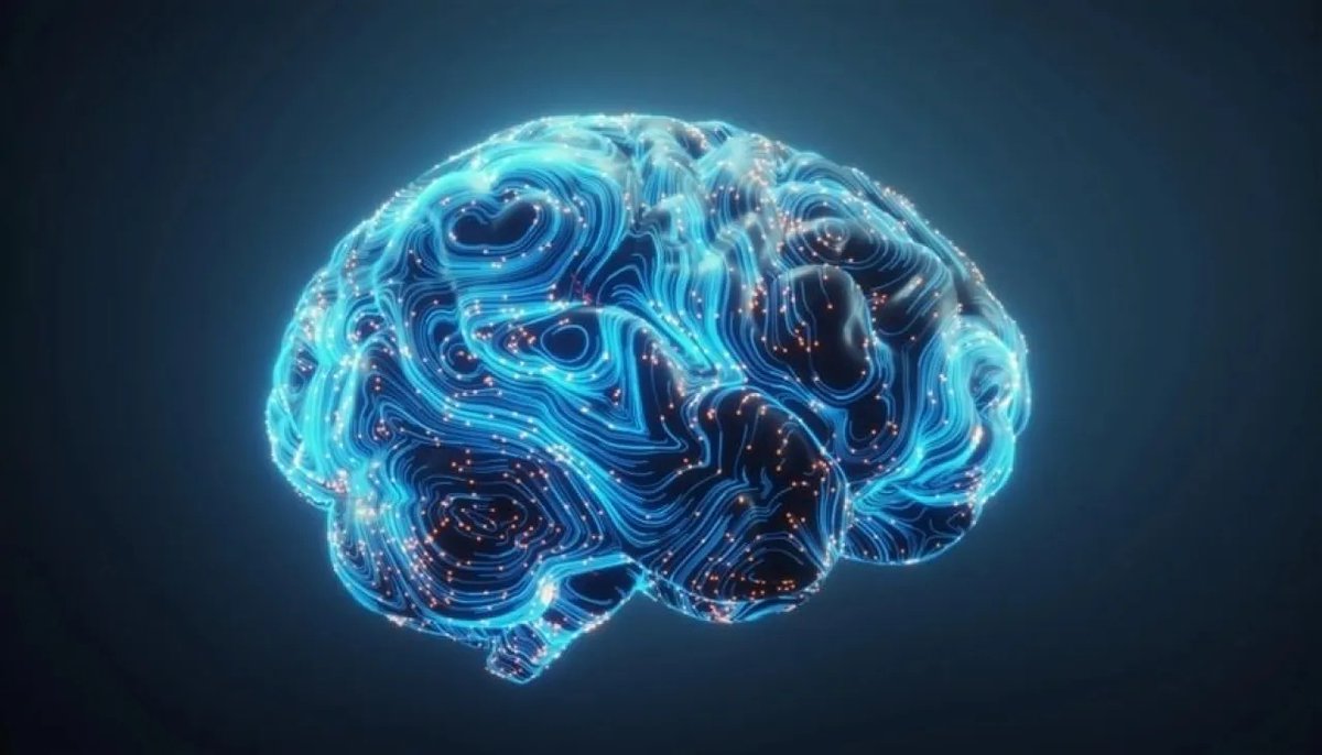 4 عادات يومية بسيطة تؤخر شيخوخة دماغك 8 سنوات

nbnjo.com/article/267640