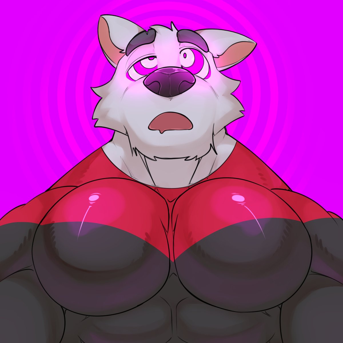 Must obey😵‍💫