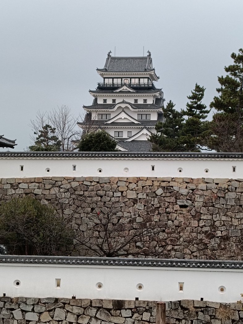 F_SFK_48_2021's tweet image. CoderDojo福山大門のヤングメンターが、フューチャー(株)の主催するプログラミングコンテスト「HACK TO THE FUTURE」(AHC056)の懇親会に招待されました! 
福山🏯から上京中です。
#HTTF #AtCoder #CoderDojo
atcoder.jp/contests/ahc056