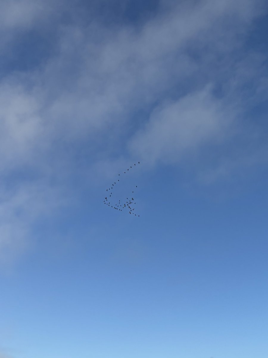 jamessw_'s tweet image. Absolutely classic formation here