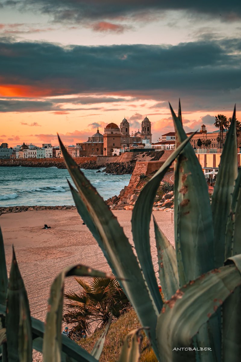antocoleta67's tweet image. Así es Cádiz desde mi objetivo. 📸📸📸🌅🌅🌅♐️