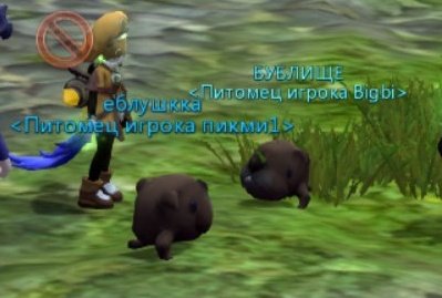 Подруга заманила в драгон нест