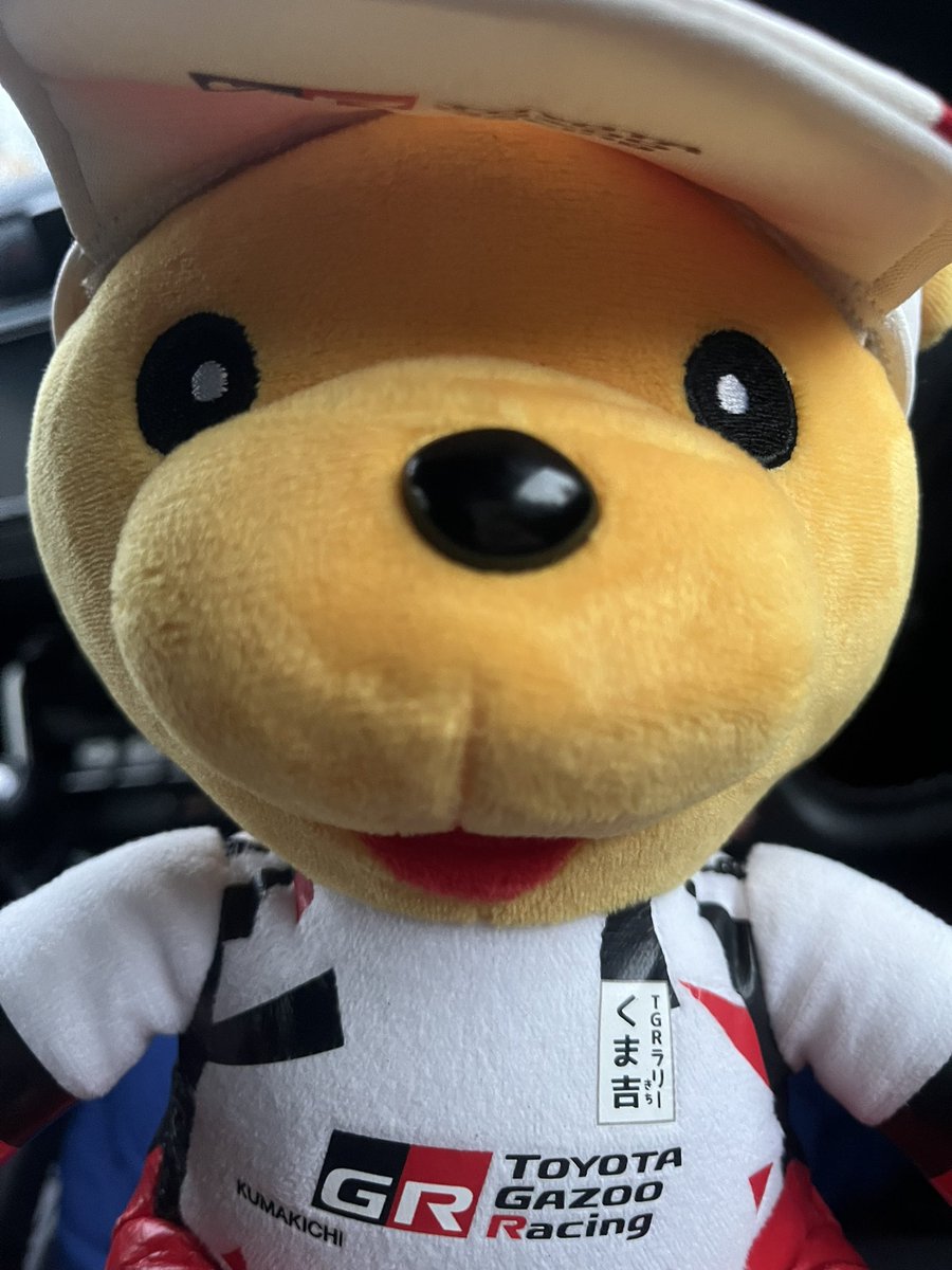 おはようきょうはくまいます🐻☀️