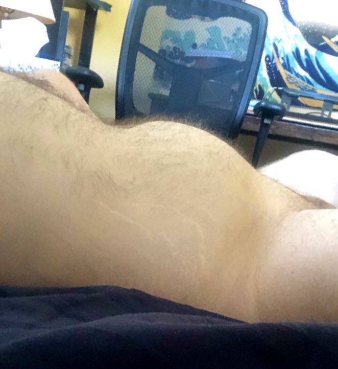 bearbladderbulge tweet media