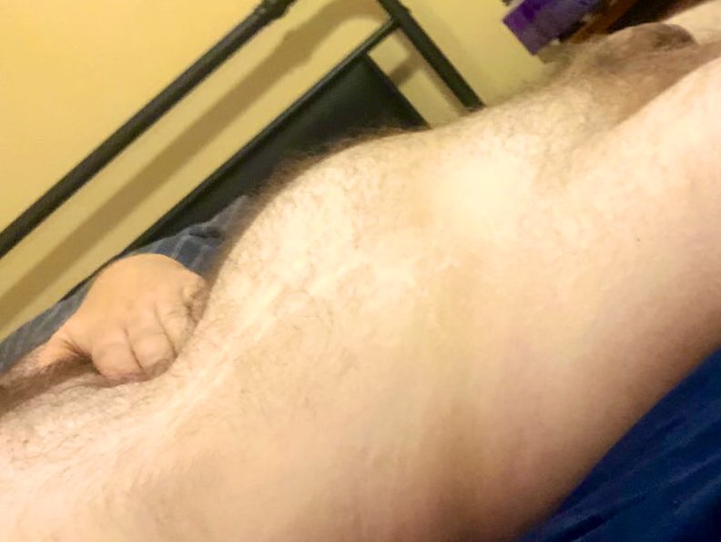 bearbladderbulge tweet media