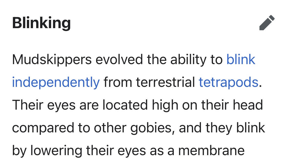 odoreida's tweet image. ok so it turns out blinking is homoplastic. that’s great that’s just great