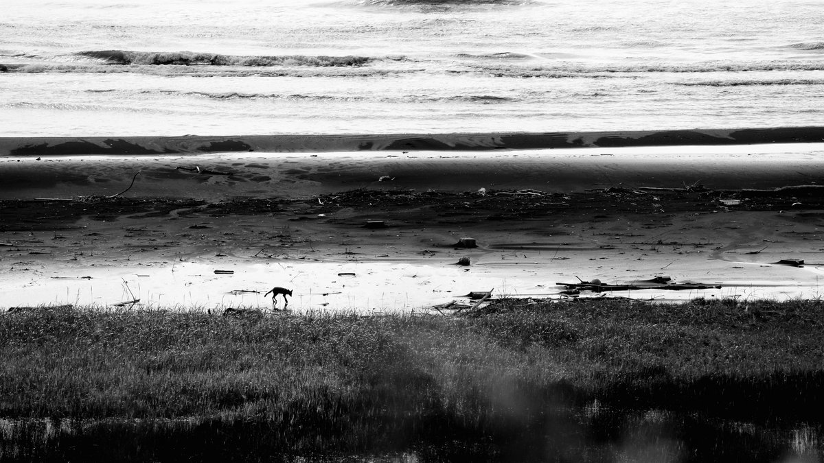 Lateral Lab.しーあいさん (@100cubicinch) on Twitter photo 