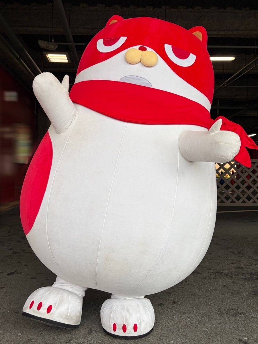 おはようございます✨️ 今日はあいにくの雨ですが、朝からにゃんまる