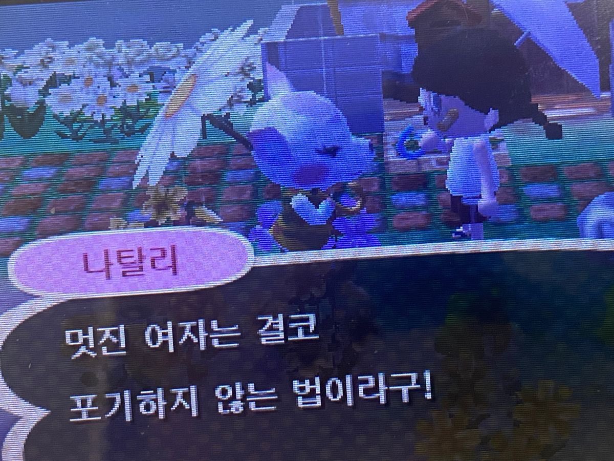 포실포실 tweet media