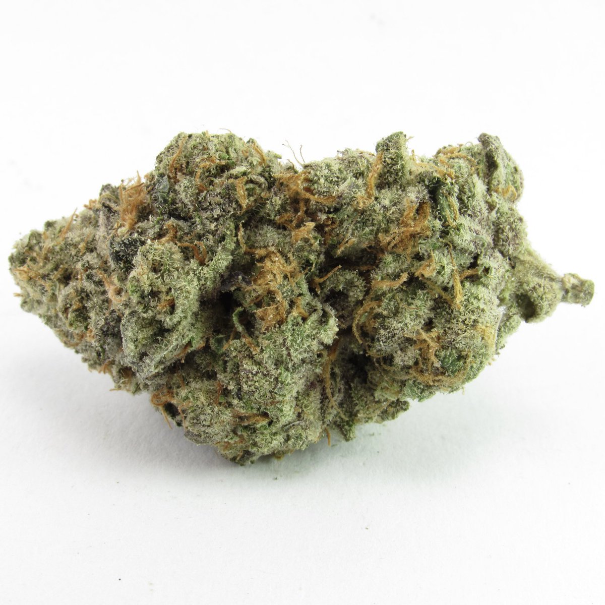 David Downs tweet media