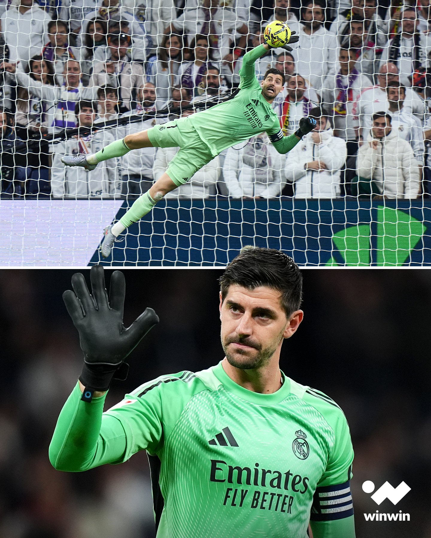 كلمة "منقذ ريال مدريد" لم تعد تكفي في حق تيبو كورتوا 