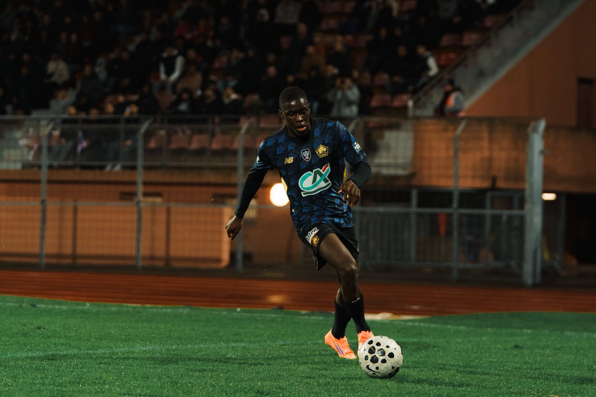LOSC tweet media