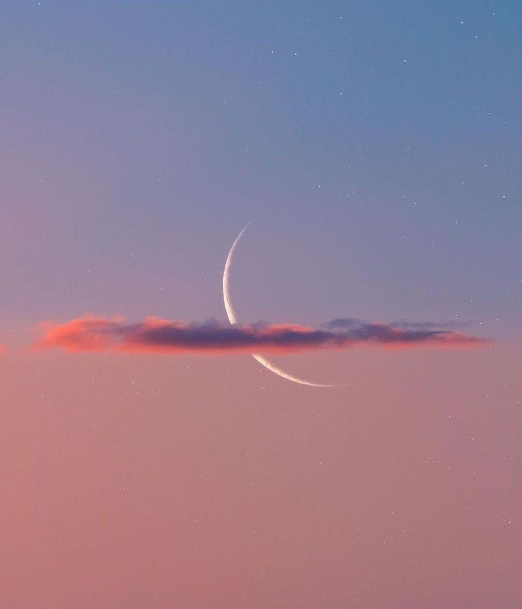 MisticMo0n's tweet image. 