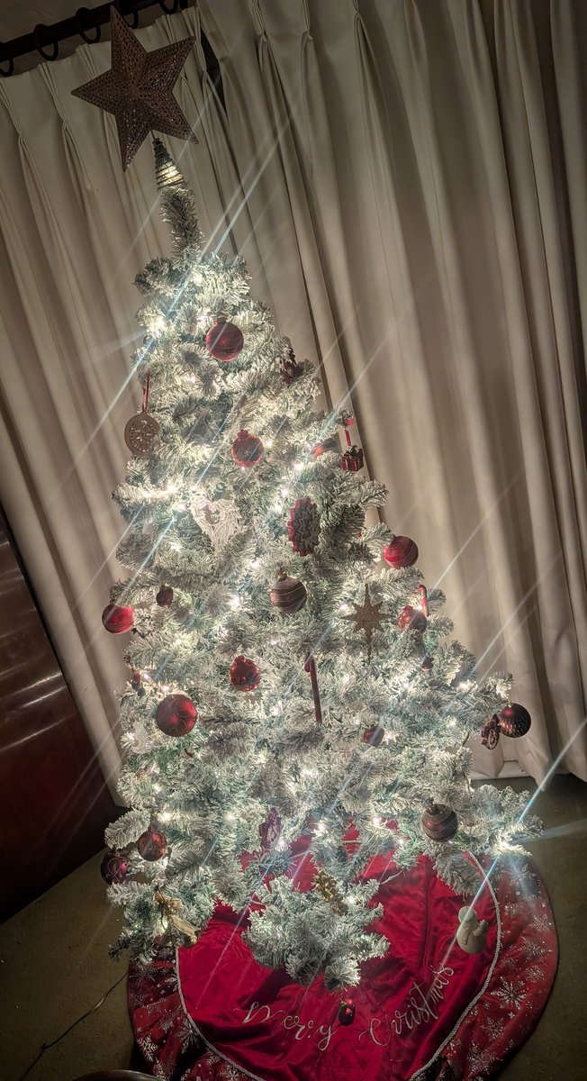 Finally got the new Christmas tree up 😍🎄