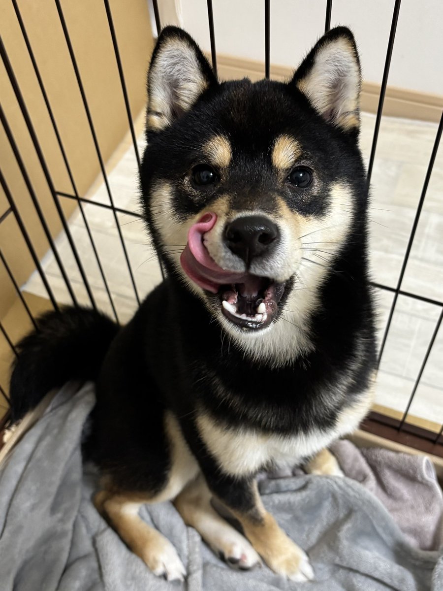 おはようございます