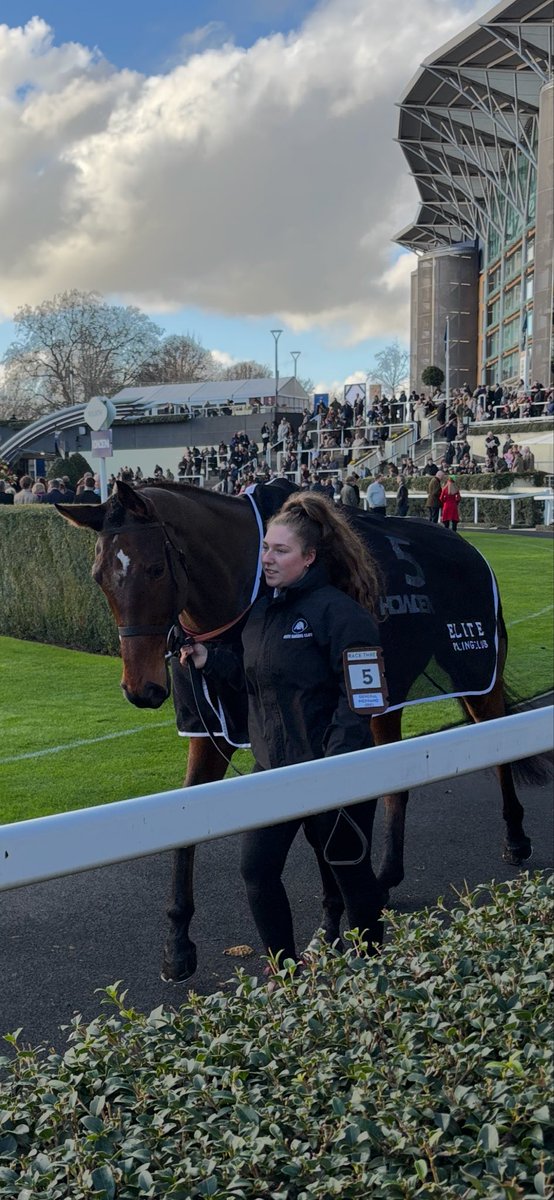 garethfearon's tweet photo. @eliteracingclub He looked so well, and was beautifully turned out. Heartbreaking for all connections 😢😢 https://t.co/BXuoIWoyiJ
