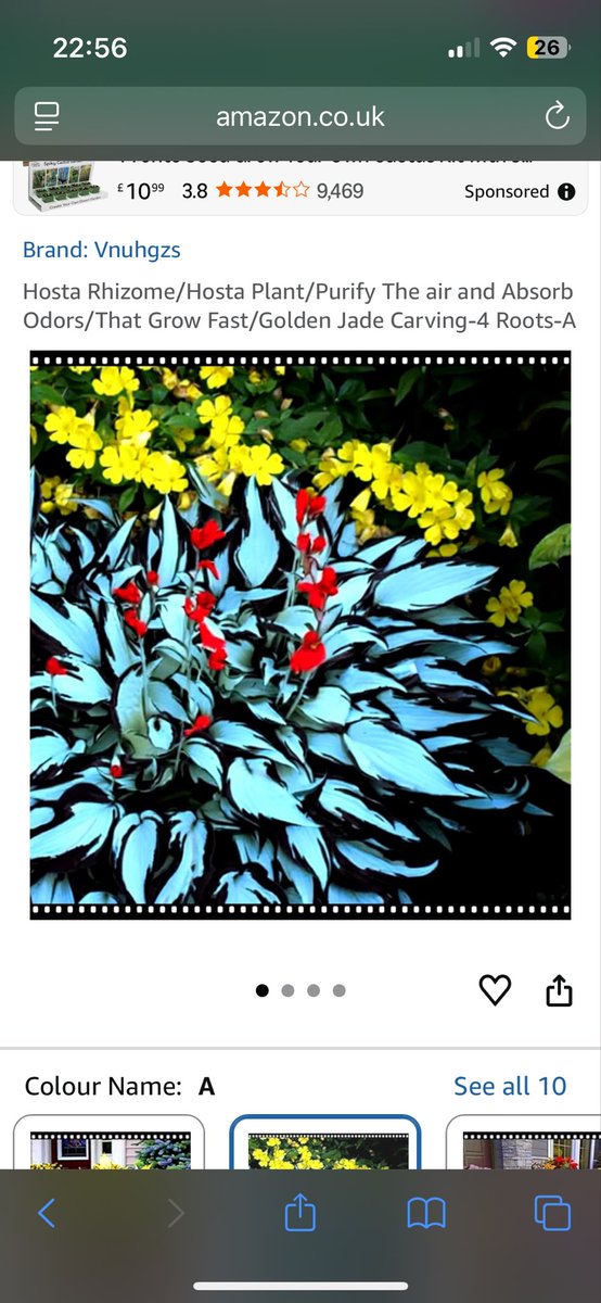 Dammers/Damo/Damien tweet media