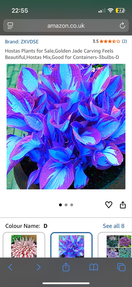 Dammers/Damo/Damien tweet media