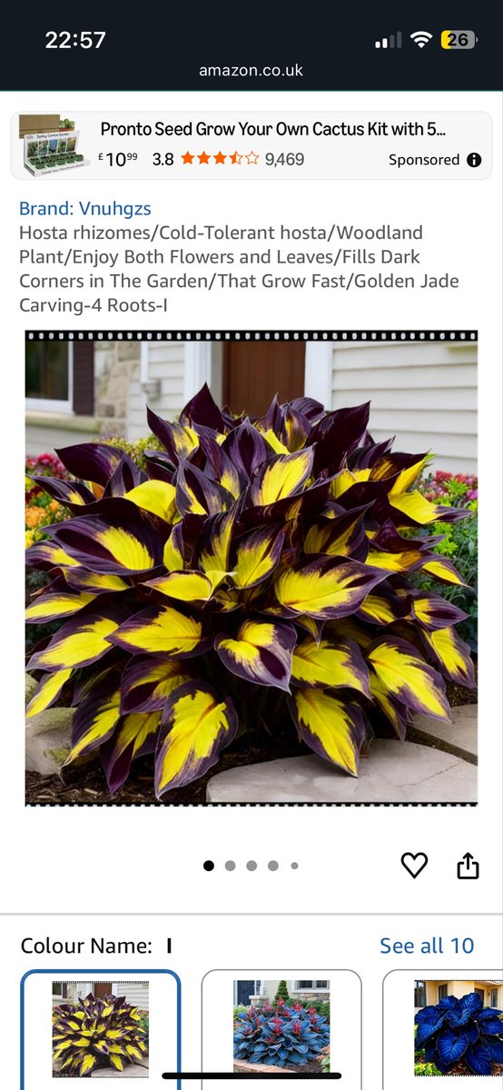 Dammers/Damo/Damien tweet media