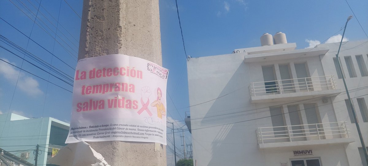 AlejandraN49815's tweet photo. Tu salud está en tus manos: la autoexploración es el primer paso.
#cancerdemama
#detectaloya
@medicosconcausa https://t.co/wfQRaLP81A