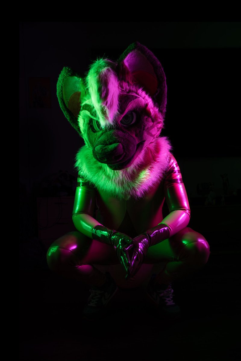 Zephyr 🇨🇭 🔜 🇨🇦 tweet media