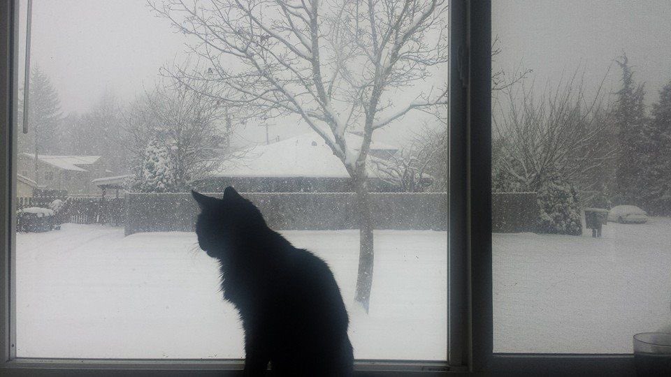 lexlisbon's tweet image. The concept of being young and sweet and then something happened