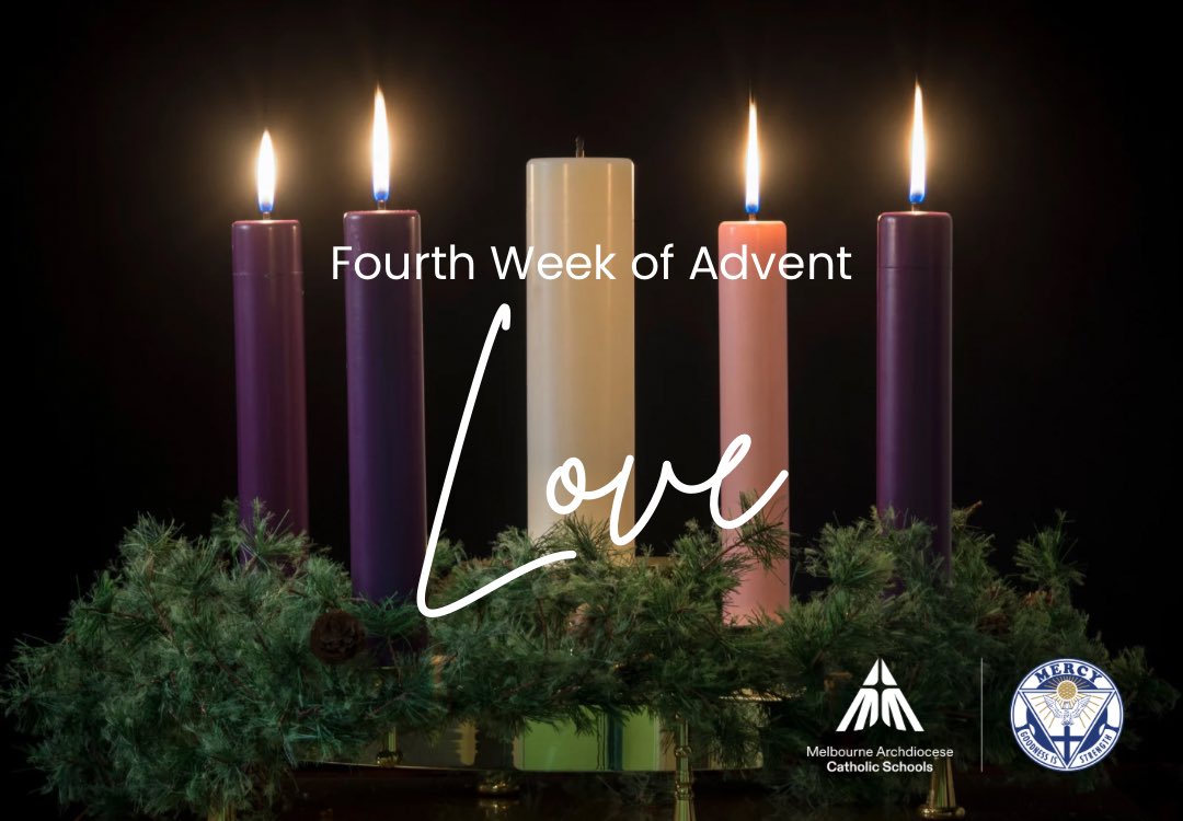 Mercy College tweet media