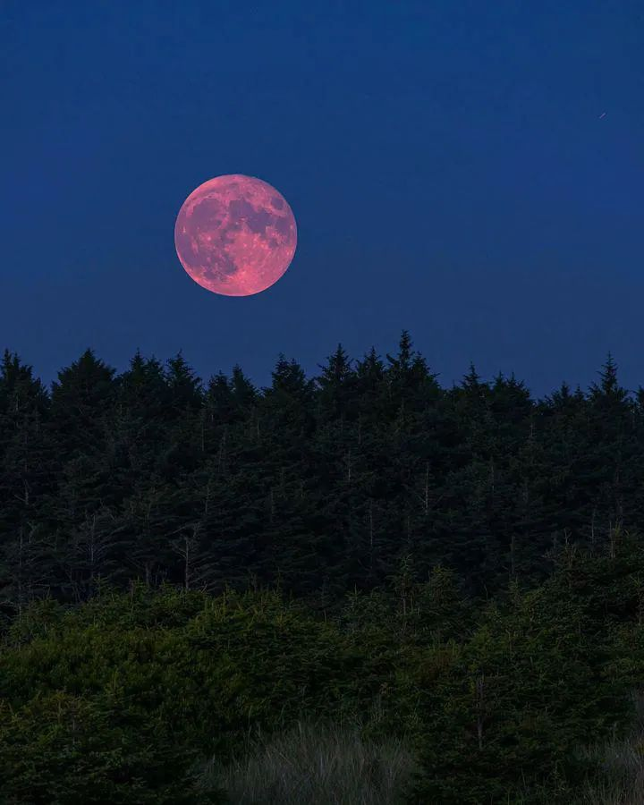Amante de la Luna