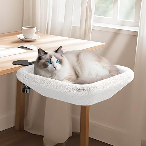 mipha 🦋 tweet media