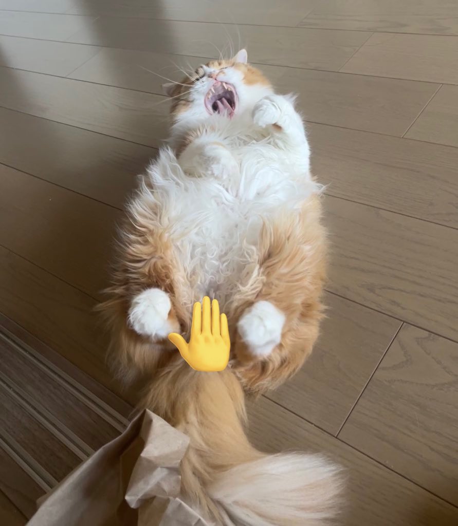 Rehtoh_6's tweet photo. おはようございます🌞
ビックサイトに行って参ります！ https://t.co/5GZqU9qOHJ