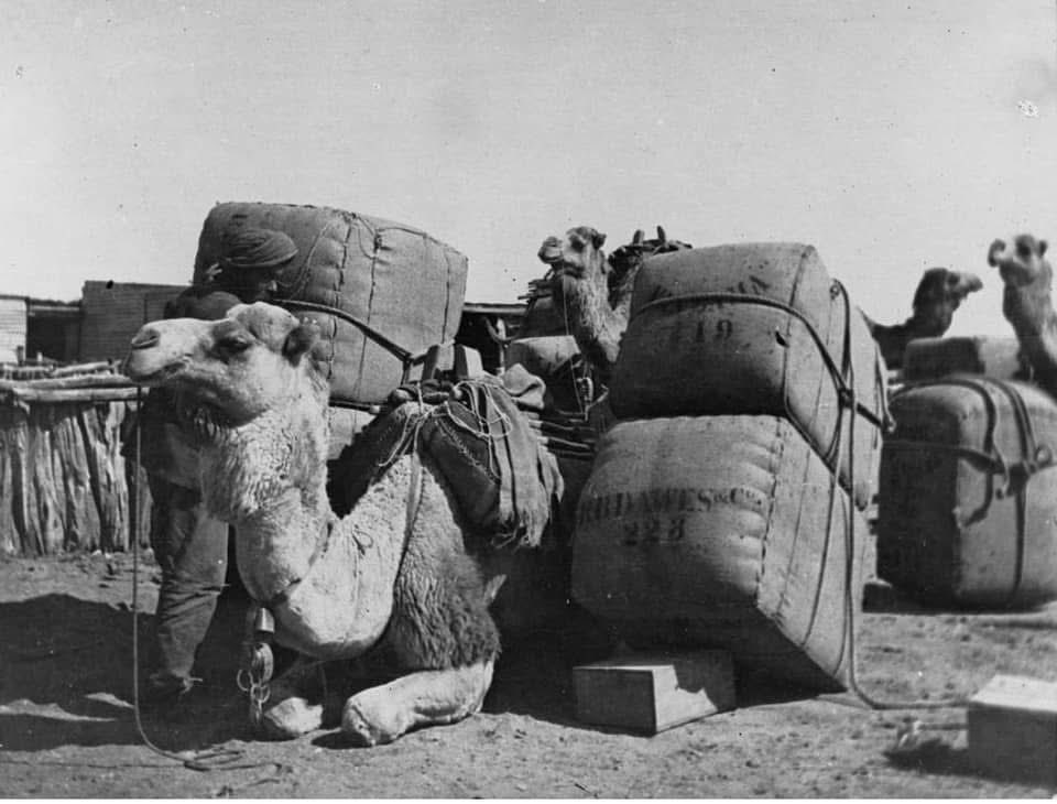 David Sandow tweet media