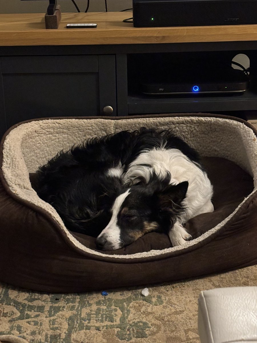 ☠️ Matt 👾 tweet media